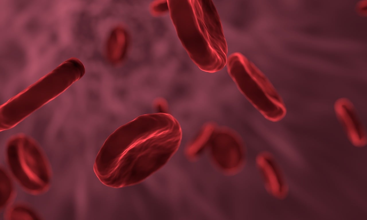 A 3D illustration of red blood cells suspended in a dark red bloodstream